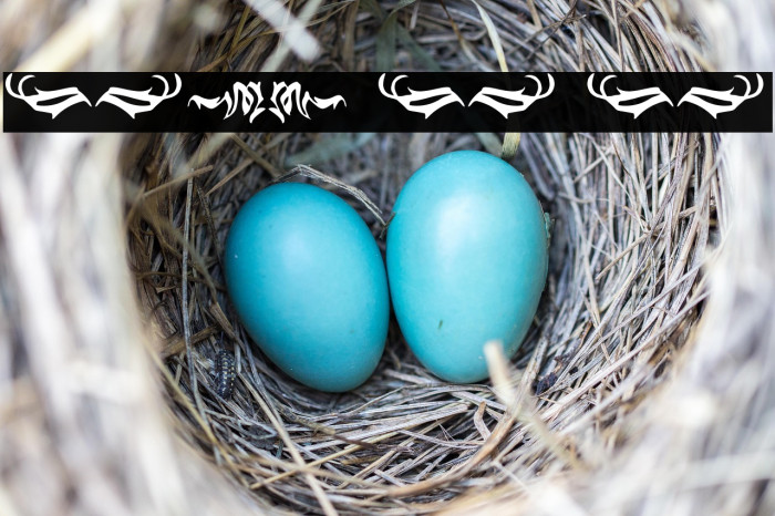 Black Panther Ornament Example 2