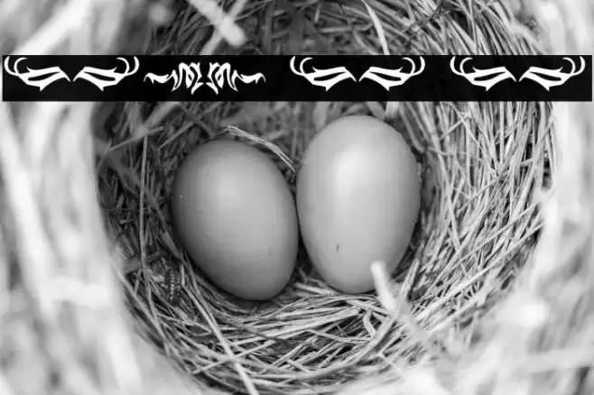 Black Panther Ornament Font examples