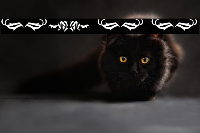 Black Panther Ornament Example 3