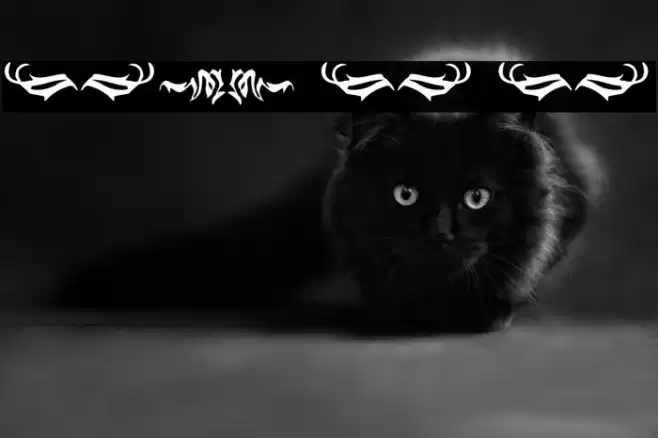 Black Panther Ornament Font examples