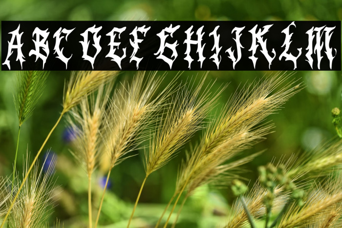 Black Panther Example 3