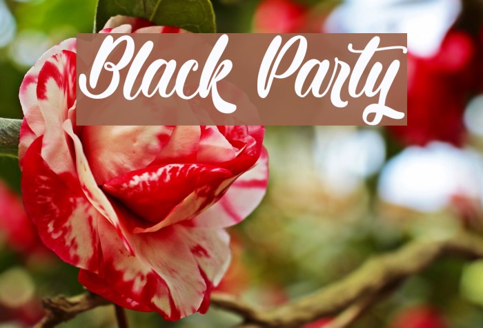 Black Party Example 1