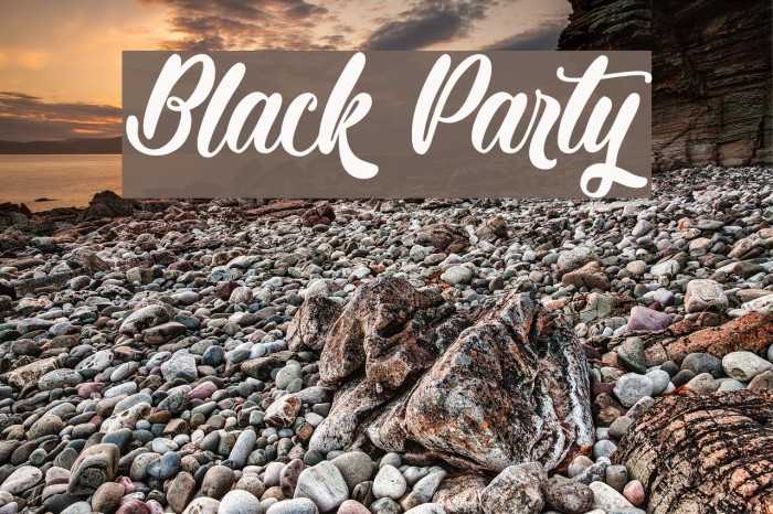 Black Party Example 3