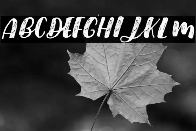 Black Pearl Personal Use Font examples