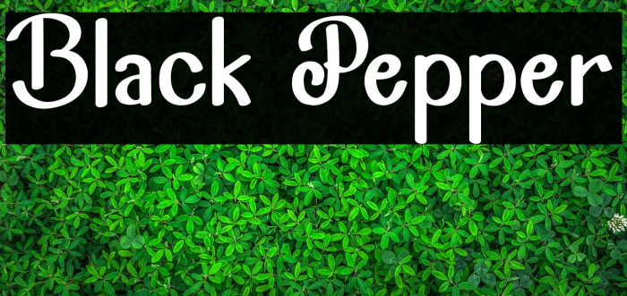 Black Pepper Example 1