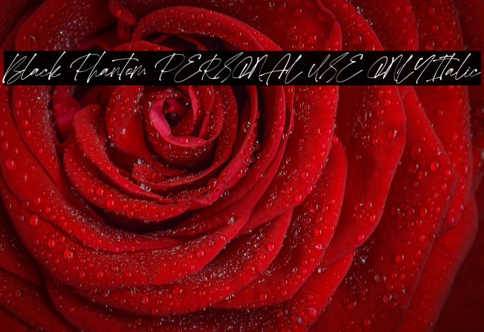 Black Phantom PERSONAL USE ONLY Italic Example 2