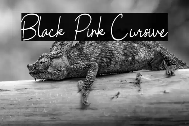 Black Pink Cursive Font examples