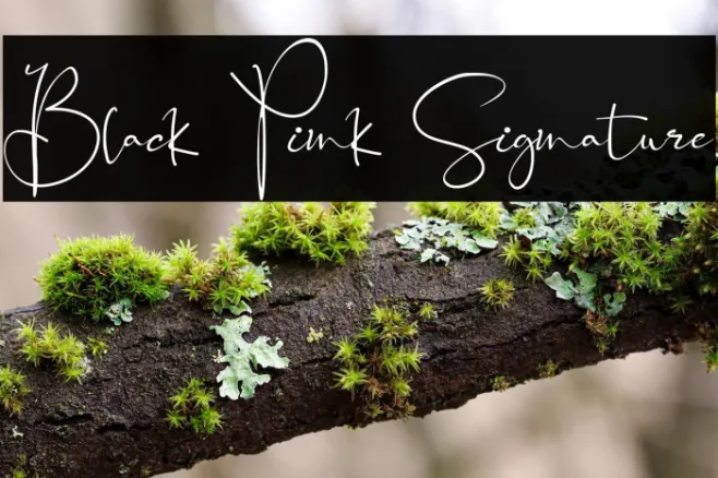 Black Pink Signature Example 1