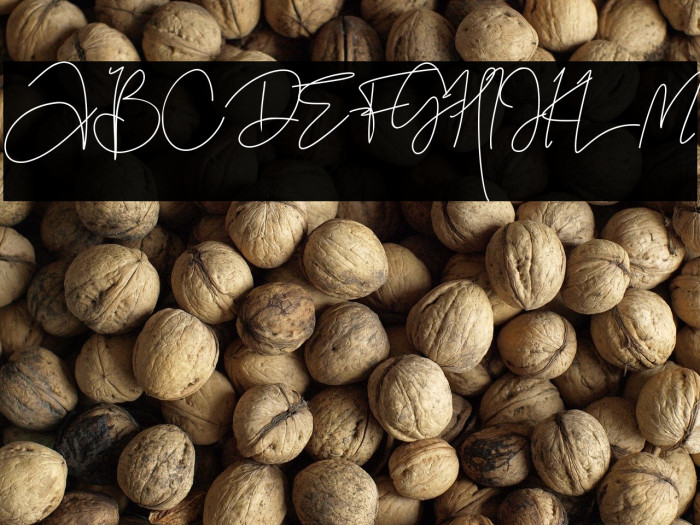 Black Pink Summer Example 3