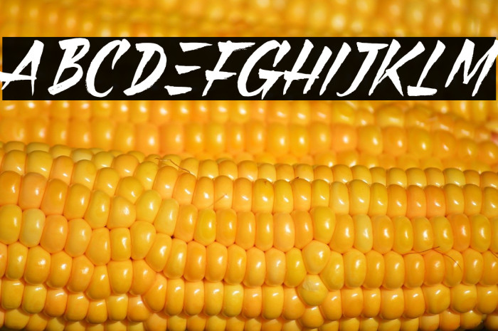 Black Pumpkin Example 3