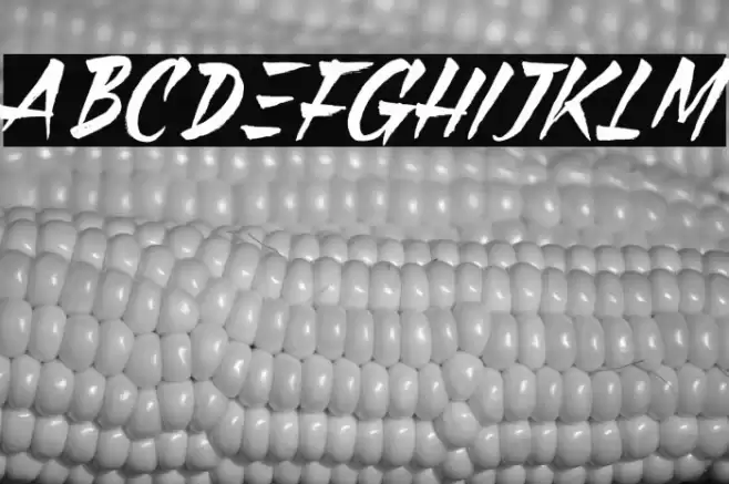 Black Pumpkin Font examples