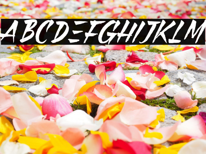 Black Pumpkin Example 1