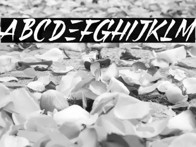 Black Pumpkin Font examples