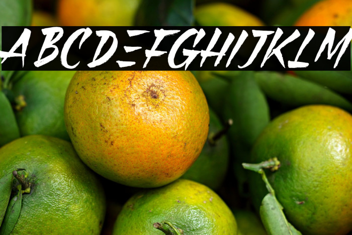 Black Pumpkin Example 2