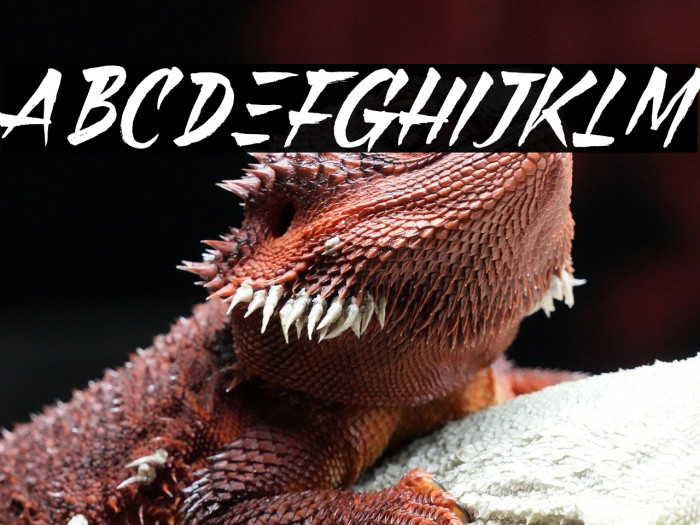 Black Pumpkin Example 3