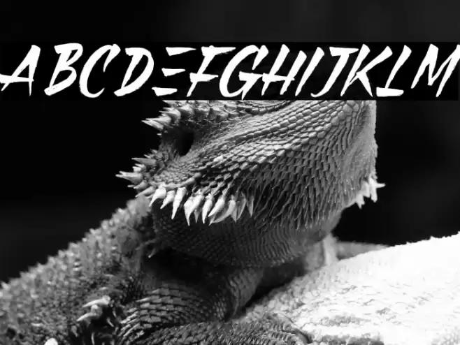 Black Pumpkin Font examples