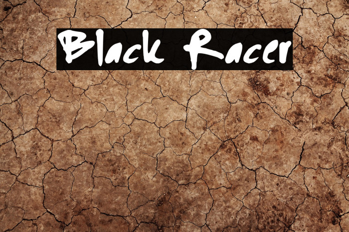 Black Racer Example 2