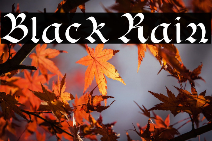 Black Rain Example 1