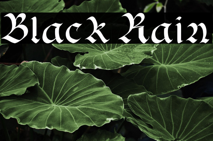 Black Rain Example 3