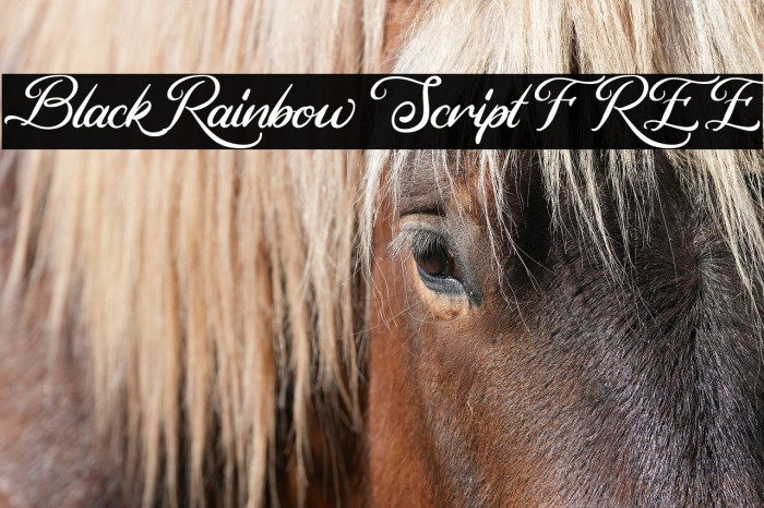 Black Rainbow Script FREE Example 1