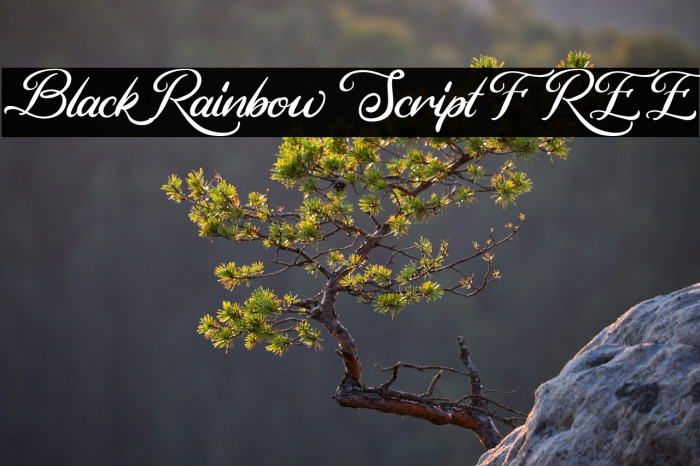 Black Rainbow Script FREE Example 2