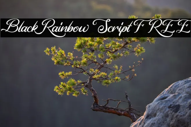 Black Rainbow Script FREE Example 2