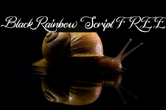 Black Rainbow Script FREE Example 3