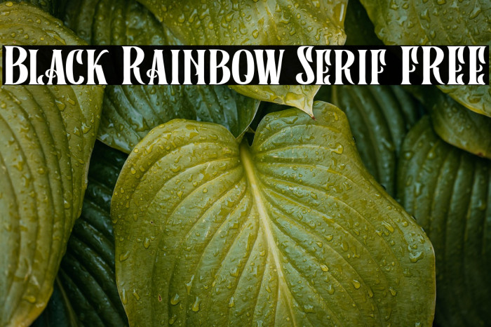 Black Rainbow Serif FREE Example 2