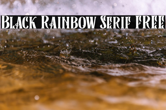 Black Rainbow Serif FREE Example 3