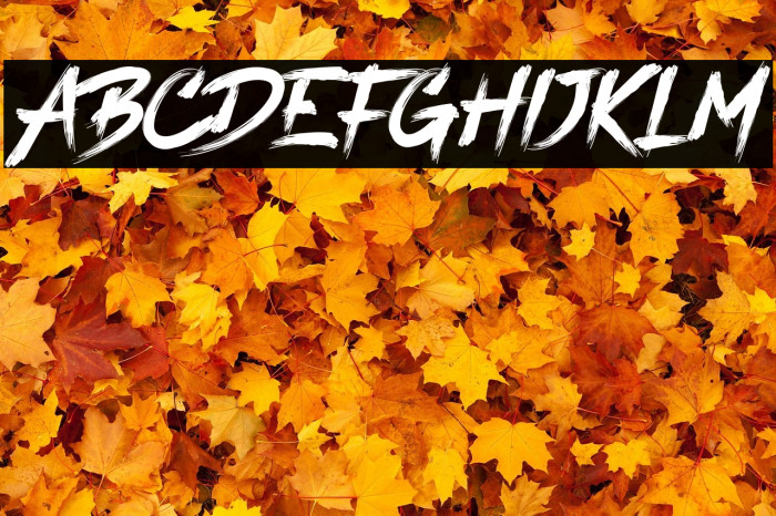 Black Range Free Regular Example 3