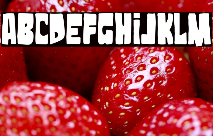 Black Rat Institute Example 2