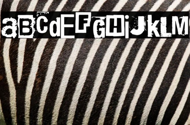 Black Rat Punk Band Example 3