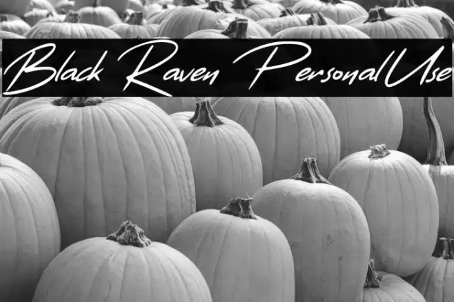 Black Raven Personal Use Font examples