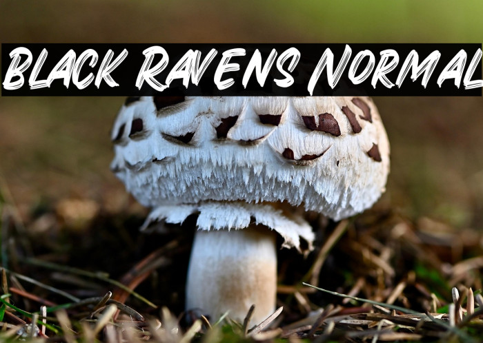 Black Ravens Normal Example 3