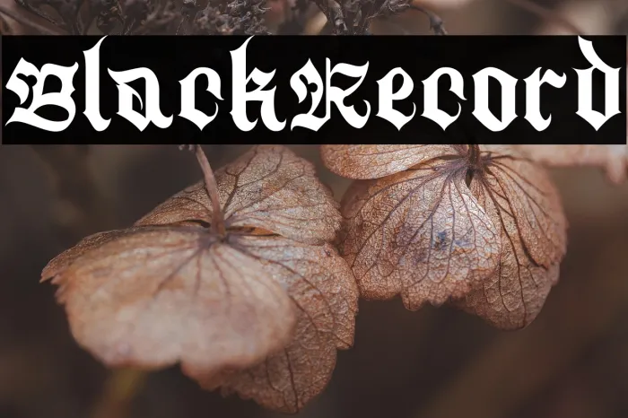 Black Record Example 1