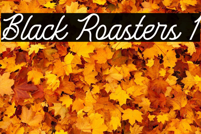 Black Roasters 1 Example 2