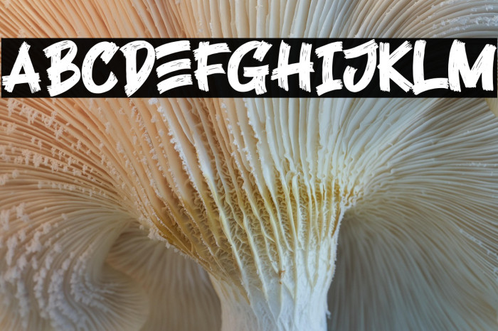 Black Rocker Example 1