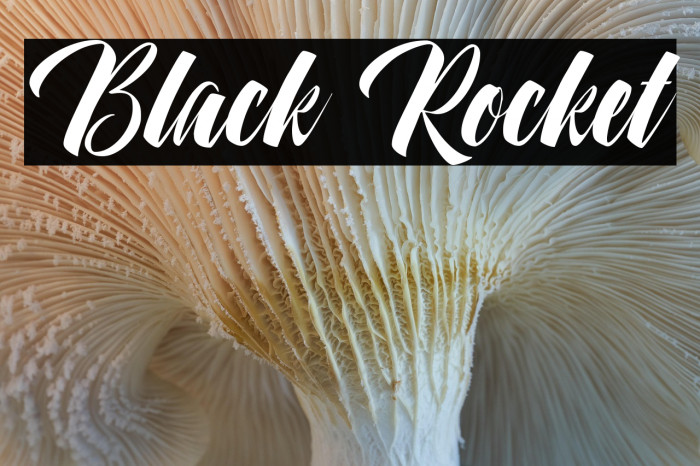 Black Rocket Example 1