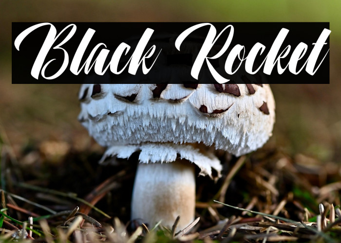 Black Rocket Example 3