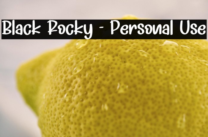 Black Rocky - Personal Use Example 1
