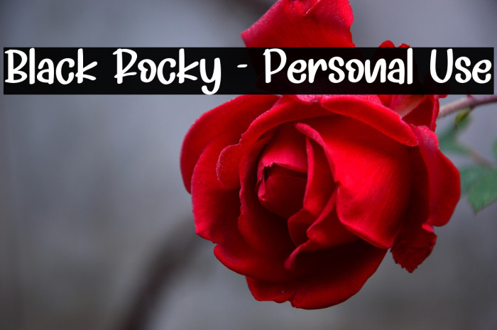 Black Rocky - Personal Use Example 3