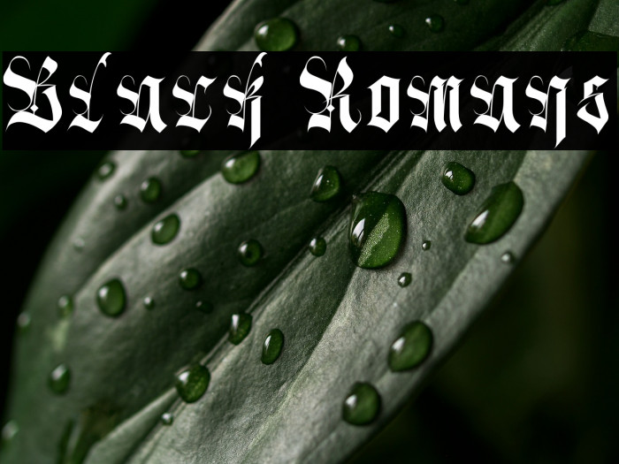 Black Romans Example 2