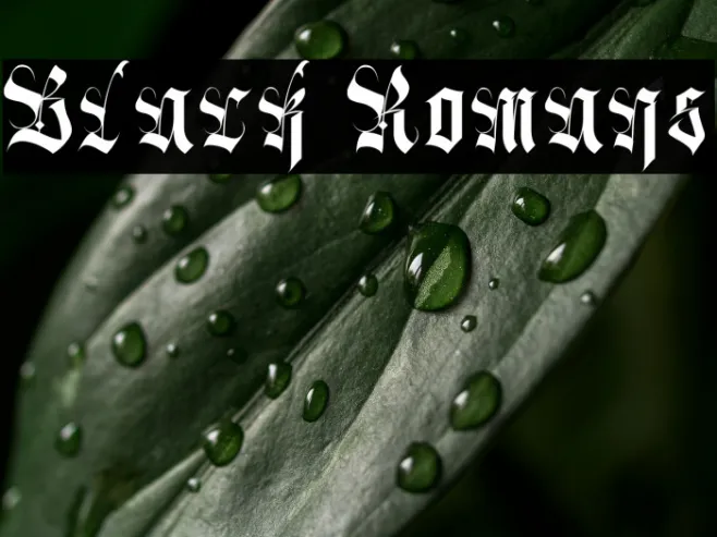 Black Romans Example 2