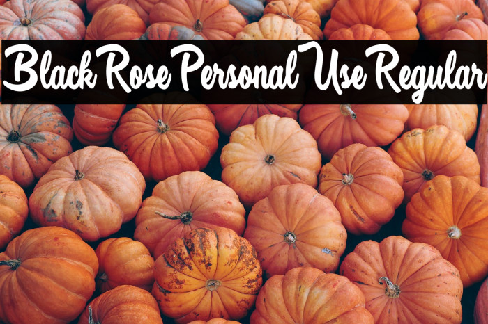 Black Rose Personal Use Regular Example 1