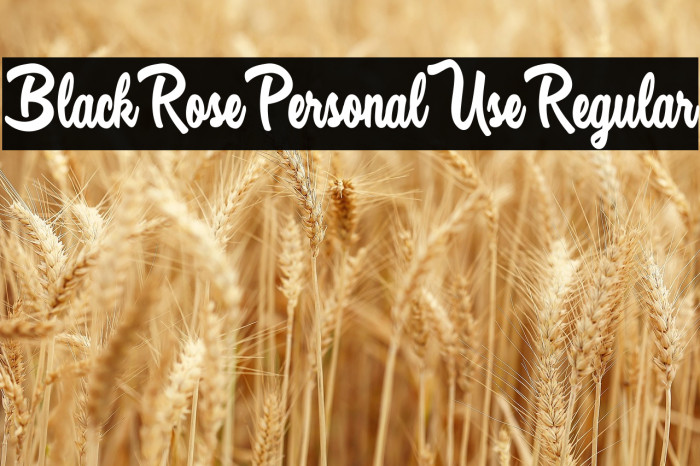 Black Rose Personal Use Regular Example 3