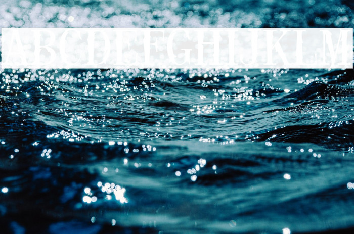 Black Rose Example 1