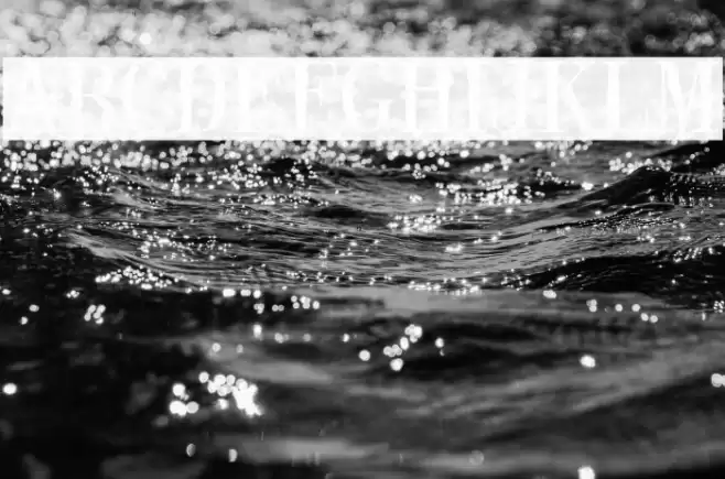 Black Rose Font examples