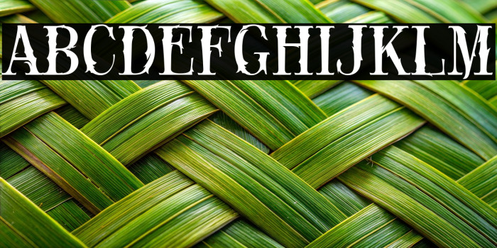 Black Rose Example 2