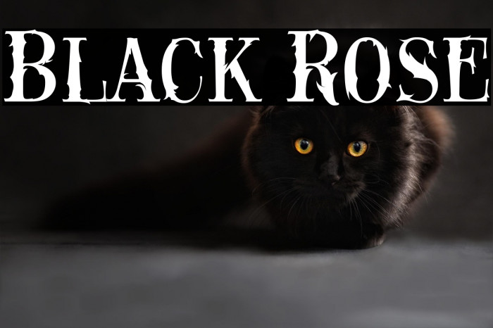 Black Rose Example 3