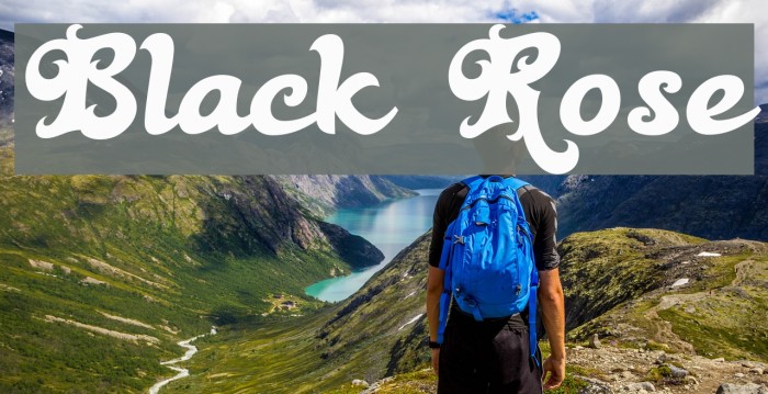 Black Rose Example 1